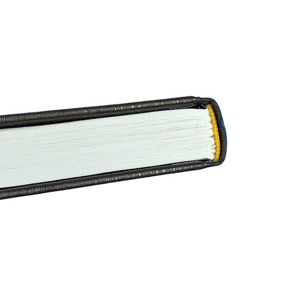 A Hologram For The King by Dave Eggers - Picture 10 of 13